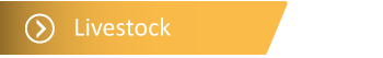 livestock